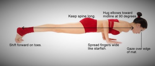Chaturanga Tips